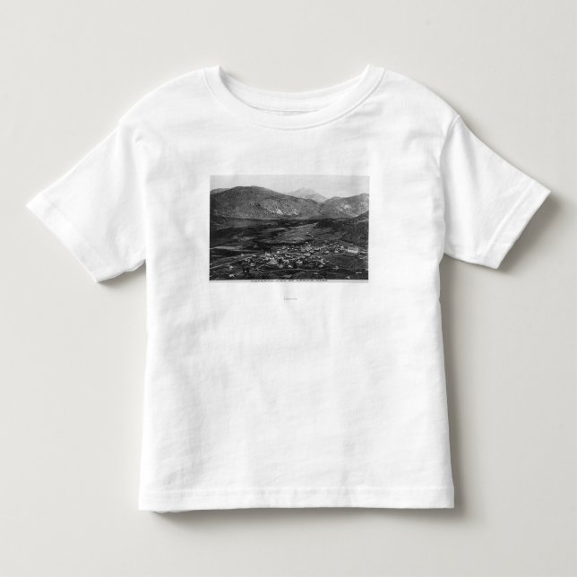 Aerial View of the Town 7 Toddler T-shirt (Front)