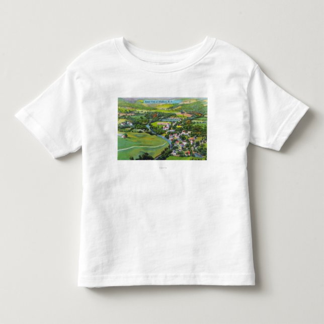 Aerial View of the Town Toddler T-shirt (Front)