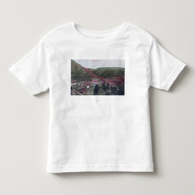 Aerial View of the TownColoma, CA Toddler T-shirt (Front)