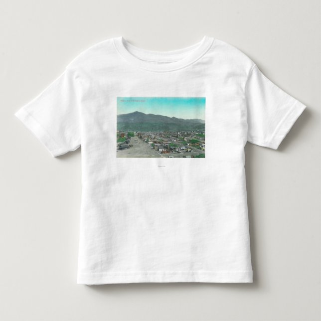 Aerial View of the TownHuntington, OR Toddler T-shirt (Front)