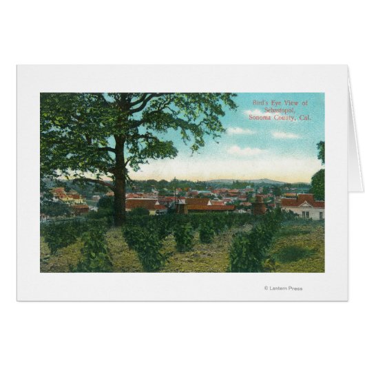 Aerial View of the TownSebastopol, CA Cards (Front Horizontal)