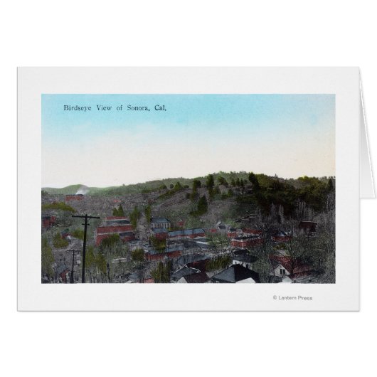 Aerial View of the TownSonora, CA Cards (Front Horizontal)