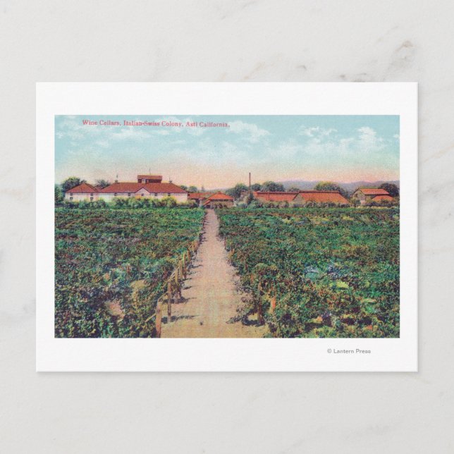 Aerial View of the Vineyards and Wine Cellars Postcard (Front)