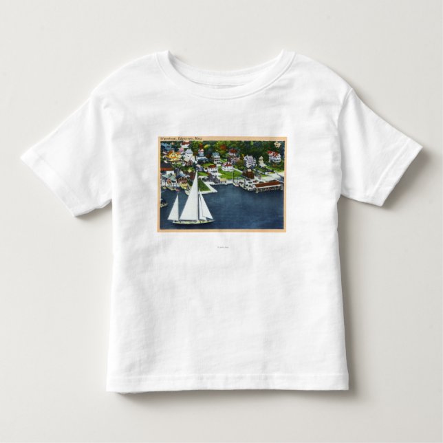 Aerial View of the Waterfront 2 Toddler T-shirt (Front)