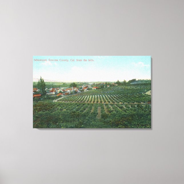 Aerial View of Town, Sonoma County from the Hill Canvas Print (Front)