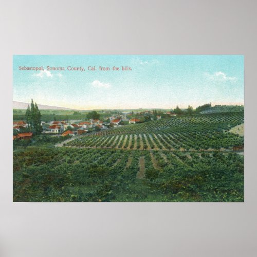 Aerial View of Town Sonoma County from the Hill Poster