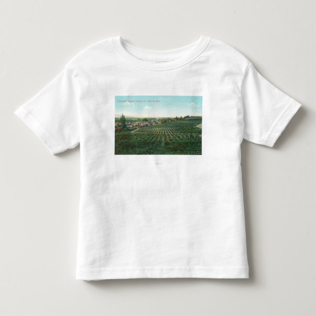 Aerial View of Town, Sonoma County from the Hill Toddler T-shirt (Front)