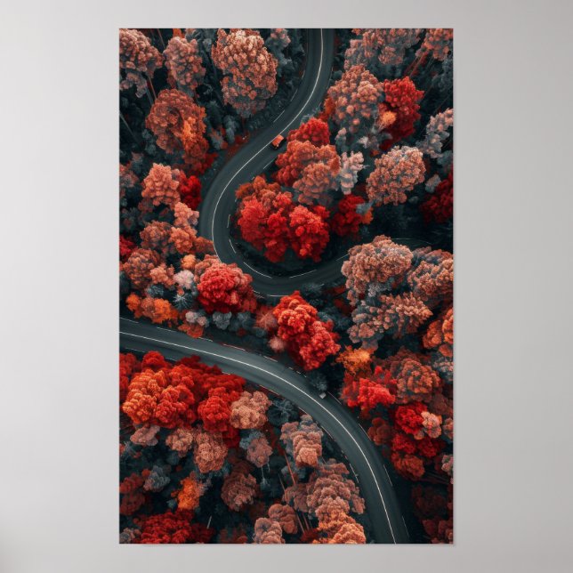 Aerial View of Winding Road Through Red Autumn For Poster (Front)