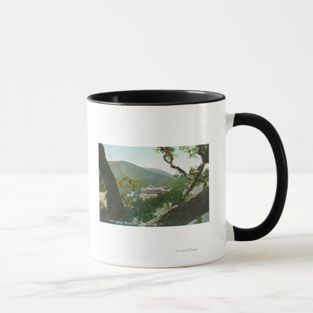 Aerial View of Witter Medical Springs Hotel Mug (Right)
