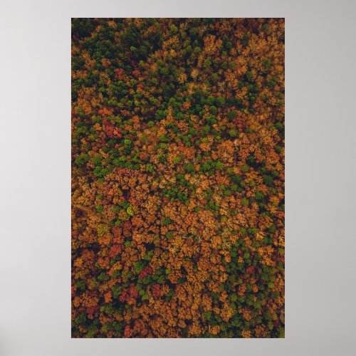 Aerial view photography of forest poster