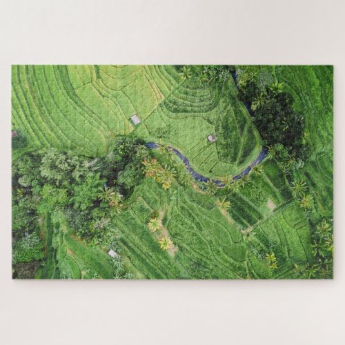Aerial View Rice Fields Irrigation II Photo Jigsaw Puzzle