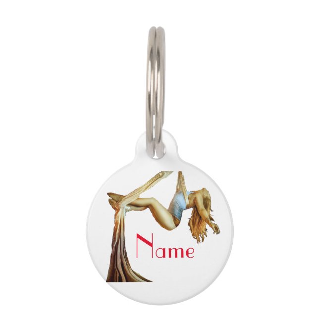 Aerial yoga fitness Thunder_Cove Pet ID Tag (Front)