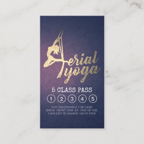Aerial Yoga Instructor Pilates Class Pass Loyalty
