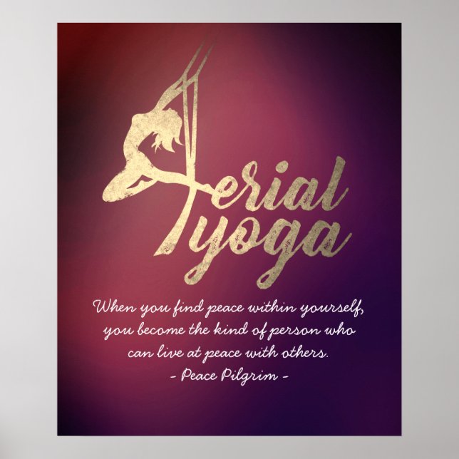 Aerial Yoga Meditation Instructor Pilates Fitness Poster (Front)