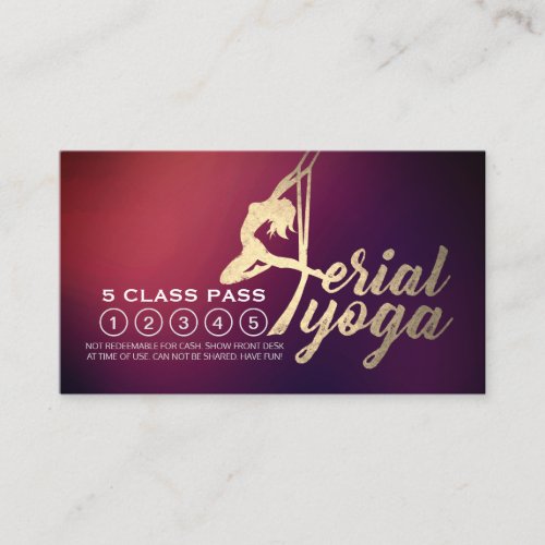 Aerial Yoga Pilates Fitness Class Pass Loyalty