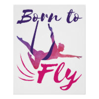 Aerial Yoga Silks Born to Fly