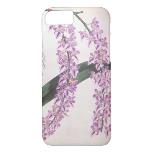 Aerides Lobbii Vintage Lilac Lindenia Orchid iPhone 87 Case