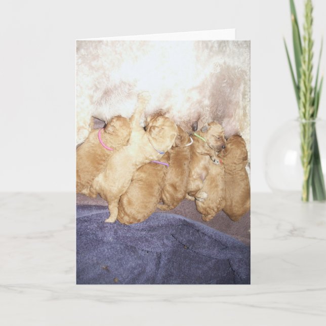 Aero-10 Card (Front)