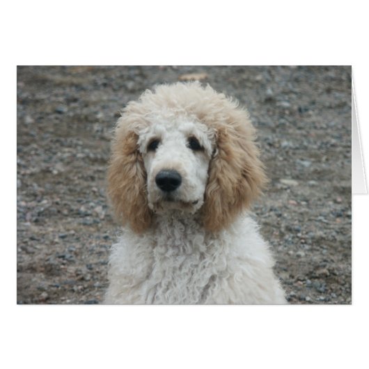 Aero-4 (Front Horizontal)