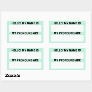 Aero Blue Name & Pronoun Labels