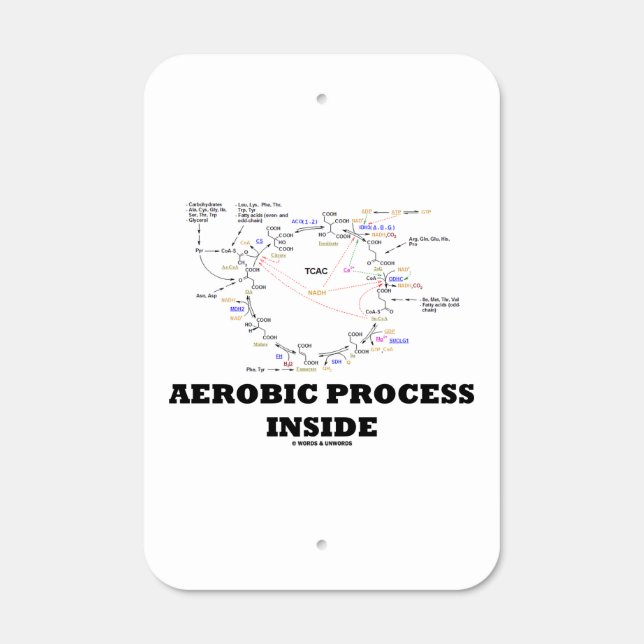 Aerobic Process Inside Krebs Cycle Geek Humor Metal Sign (Front)