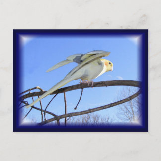 Aerodynamic Postcards
