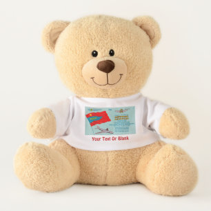 Aeroflot Passenger Ticket Teddy Bear