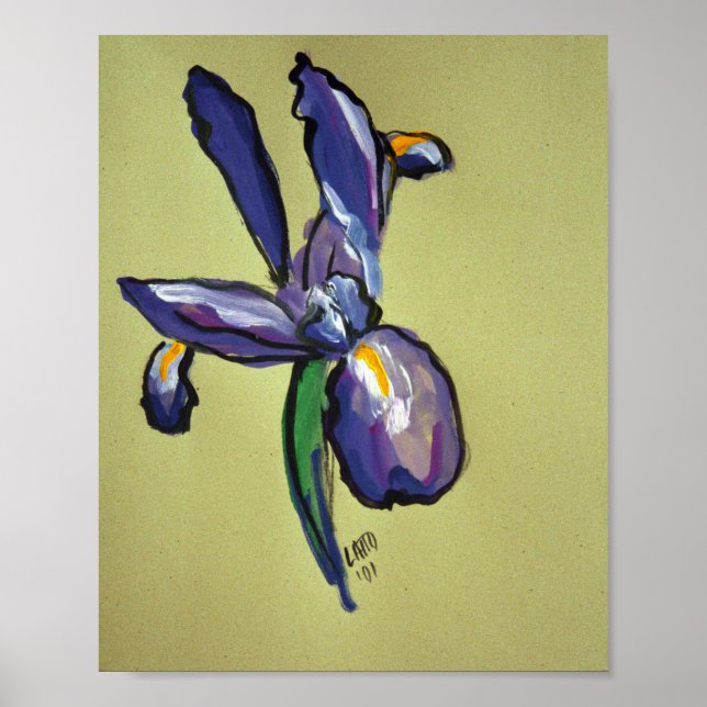 Aeronautical Iris Modern Art Painting Print Poster (Front)