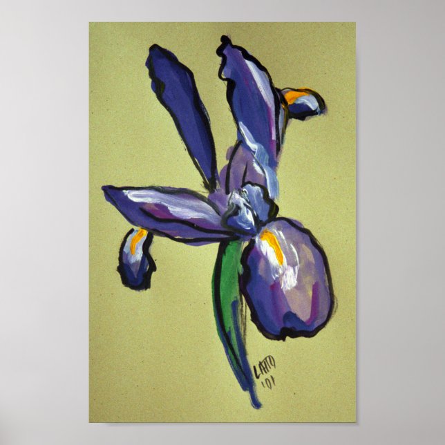 Aeronautical Iris Modern Painting Art Print Poster (Front)
