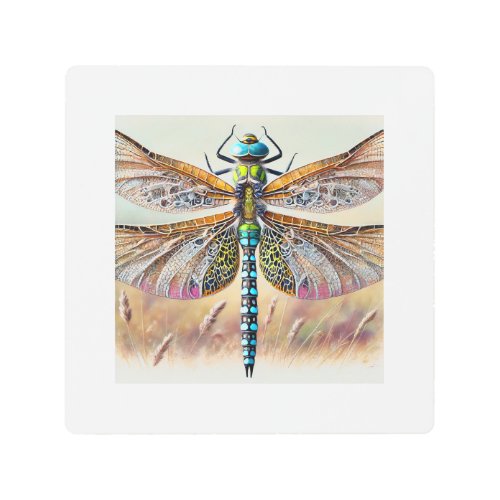 Aeshna Dragonfly 140624IREF122 _ Watercolor Metal Print