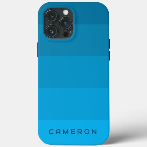 Aesthetic Blue Palette Stripe colorblock theme iPhone 13 Pro Max Case