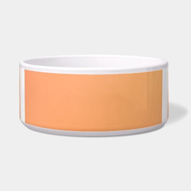 Aesthetic Bright Gradient Pattern Bowl (Front)