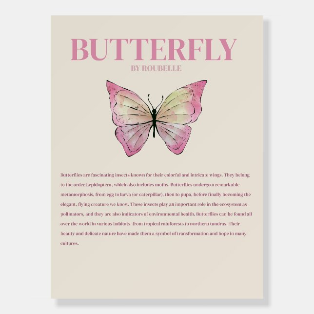 Aesthetic butterfly poster  (Front)