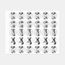 Aesthetic Four Adorable Puppies with Toilet Paper