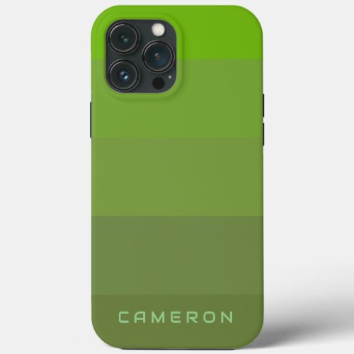Aesthetic Green Palette Stripe colorblock theme iPhone 13 Pro Max Case