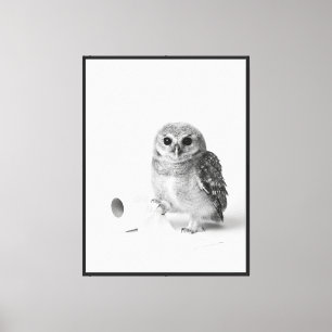 Aesthetic Minimalist Baby Owl Holding Toilet Paper Canvas Print