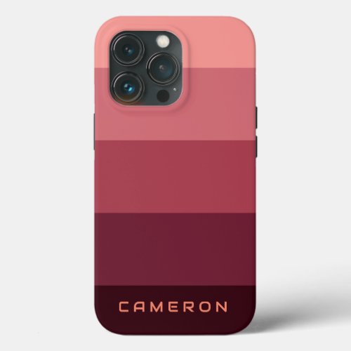 Aesthetic Pink Palette Stripe colorblock theme iPhone 13 Pro Case