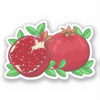 Aesthetic Pomegranate Artwork Sticker