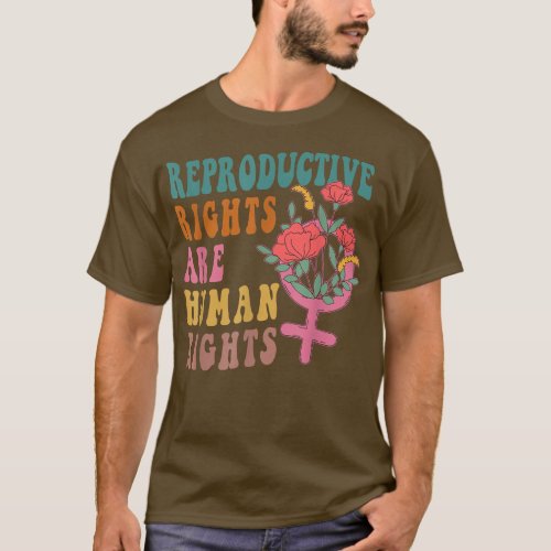 Aesthetic Reproductive Rights Are Human Rights Fem T_Shirt