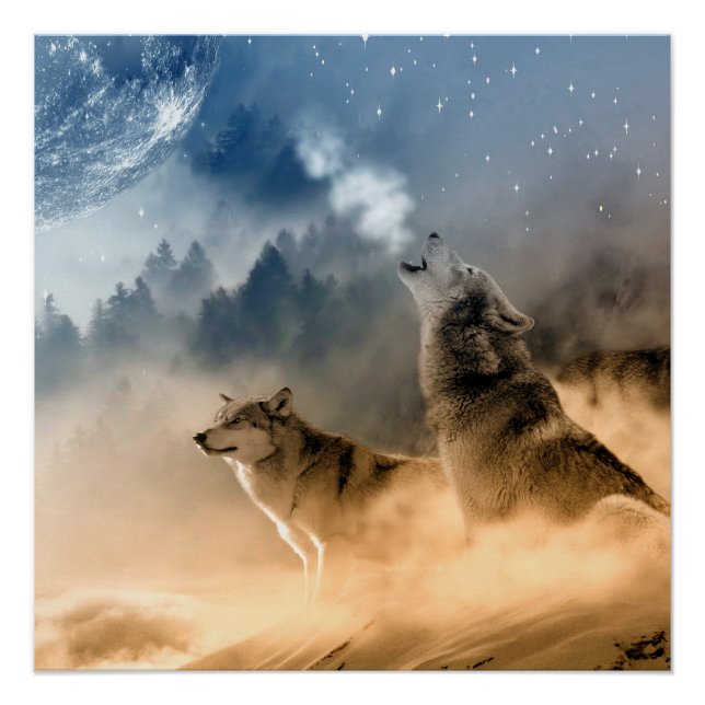 Aesthetic  wolf howling, wild life  poster (Front)