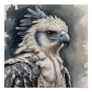 Aetos the Harpy Eagle Art Poster