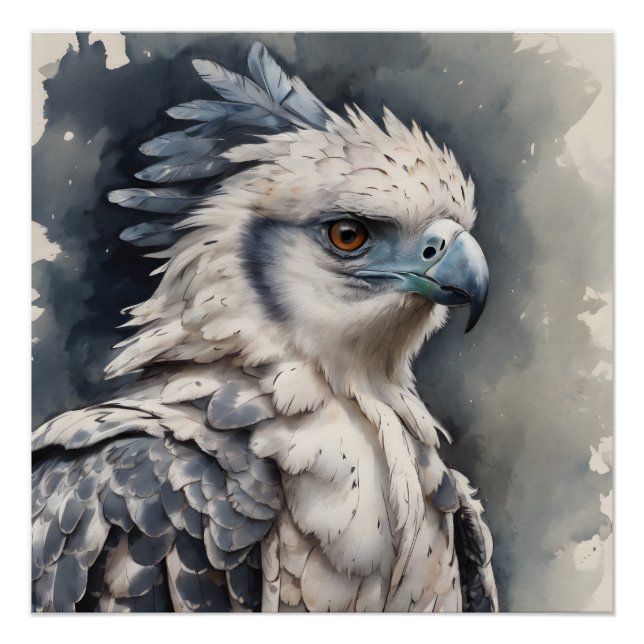 Aetos the Harpy Eagle Art Poster (Front)