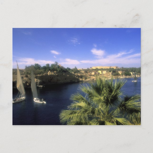 AF, Egypt, Upper Egypt, Aswan. River Nile, Postcard (Front)