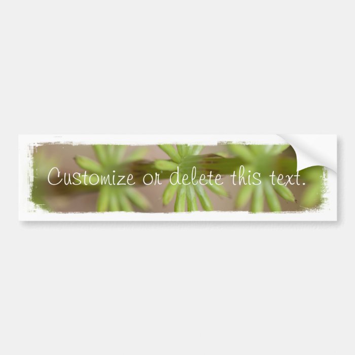 AFF Alaskan Forest Foliage Bumper Stickers