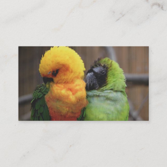 Affectionate Birds Business Card (Front)