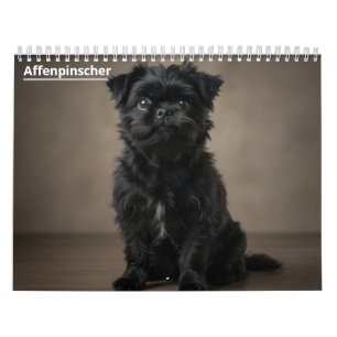 Affenpinscher 2027 Wall Calendar