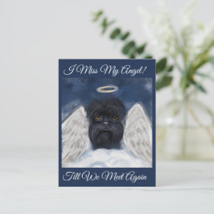 Affenpinscher Angel Postcard