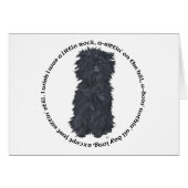 Affenpinscher Ditty (Front Horizontal)