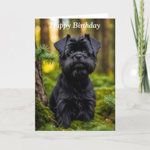 Affenpinscher dog cute photo custom birthday card