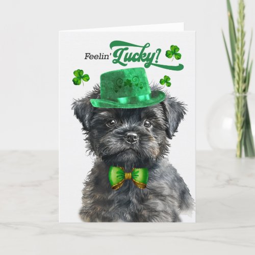 Affenpinscher Dog Feelin Lucky St Patricks Day Holiday Card